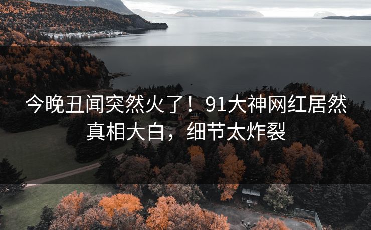 今晚丑闻突然火了！91大神网红居然真相大白，细节太炸裂