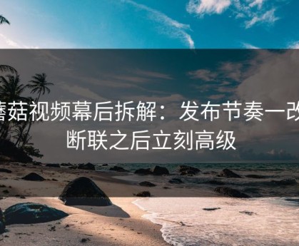 蘑菇视频幕后拆解：发布节奏一改，断联之后立刻高级