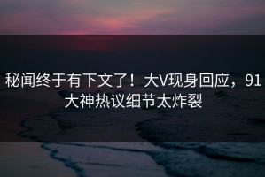 秘闻终于有下文了！大V现身回应，91大神热议细节太炸裂
