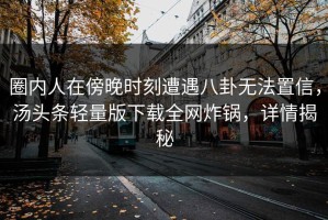 圈内人在傍晚时刻遭遇八卦无法置信，汤头条轻量版下载全网炸锅，详情揭秘