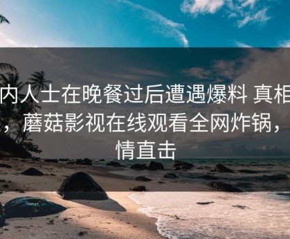 业内人士在晚餐过后遭遇爆料 真相大白，蘑菇影视在线观看全网炸锅，详情直击